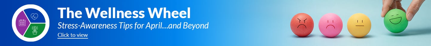 The Wellness Wheel Hero Banner_APR