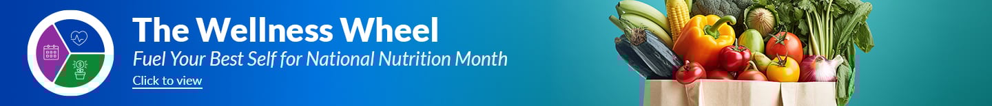 The Wellness Wheel Hero Banner_MAR