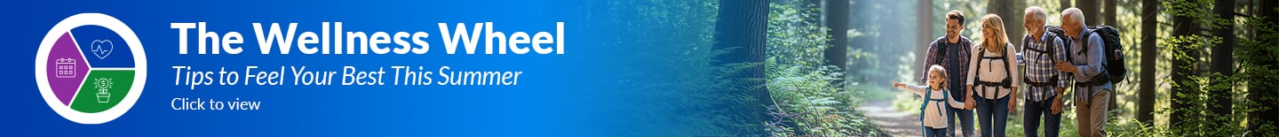 The Wellness Wheel Hero Banner_Q3