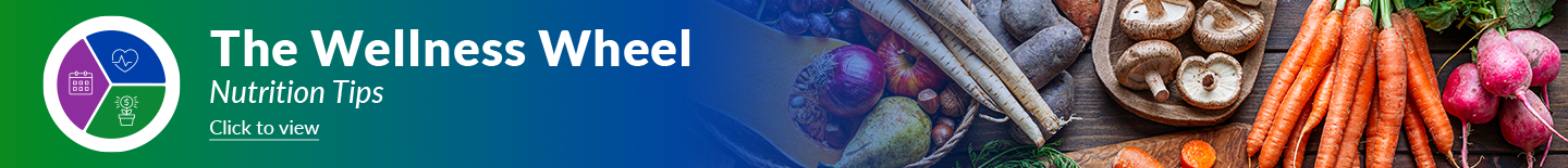 The Wellness Wheel Hero Banner (January 2026)